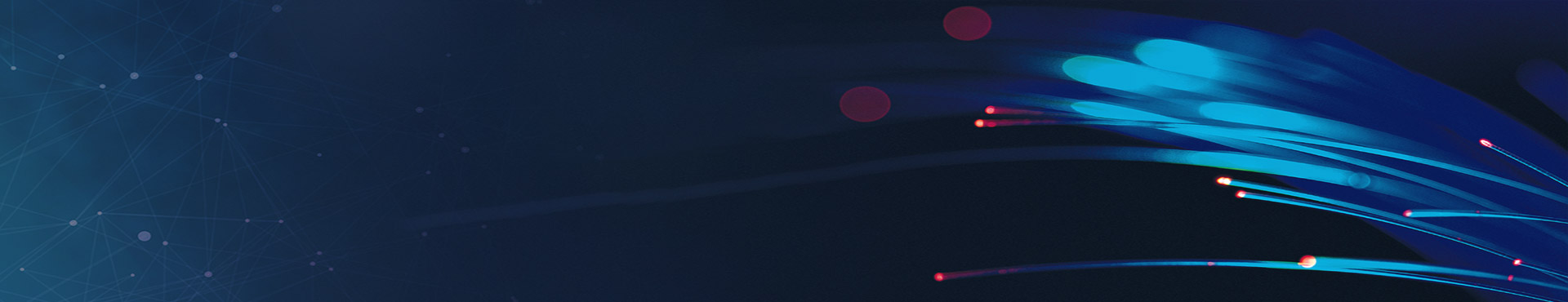 banner_page.jpg?v=v1.1